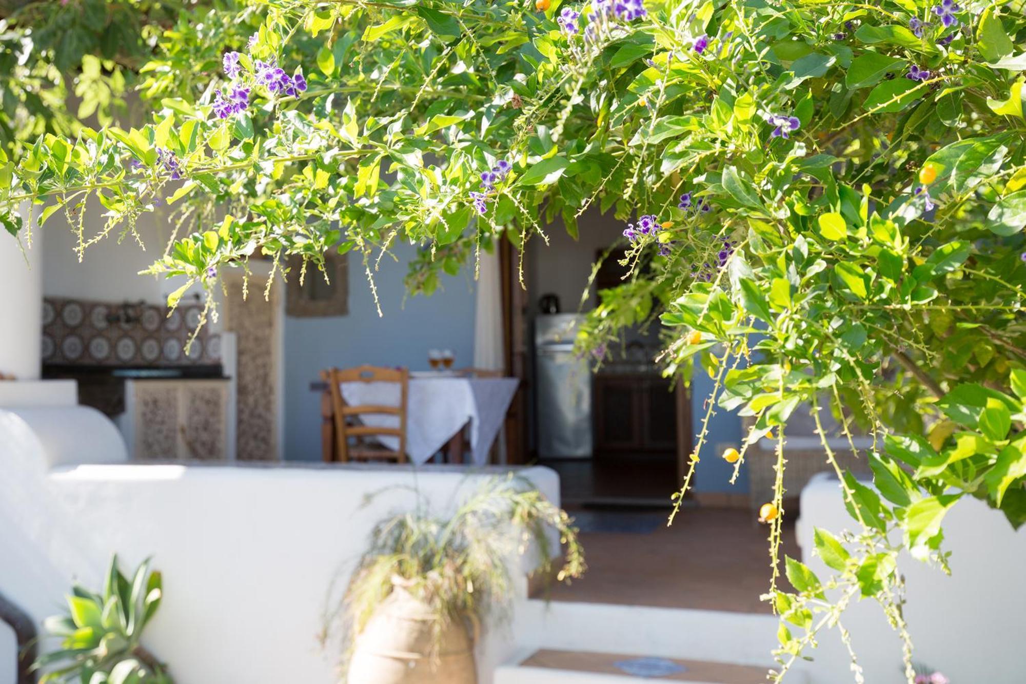 Villa Agrumeto Λίπαρι Εξωτερικό φωτογραφία